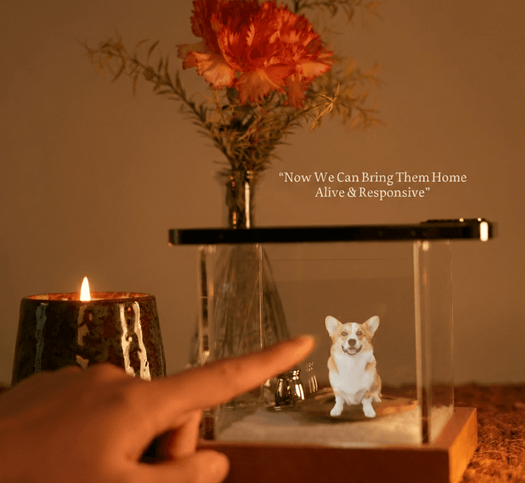 Personalised Hologram Projection