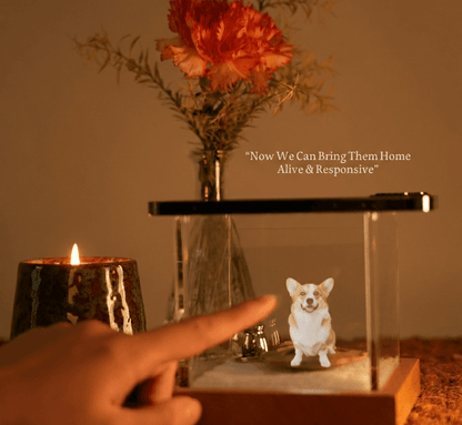 Personalised Hologram Projection