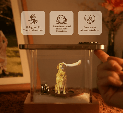 Personalised Hologram Projection