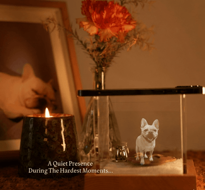 Personalised Hologram Projection