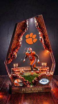 Peter Woods ~ Clemson Tigers