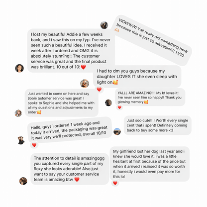 Personalised Hologram Projection